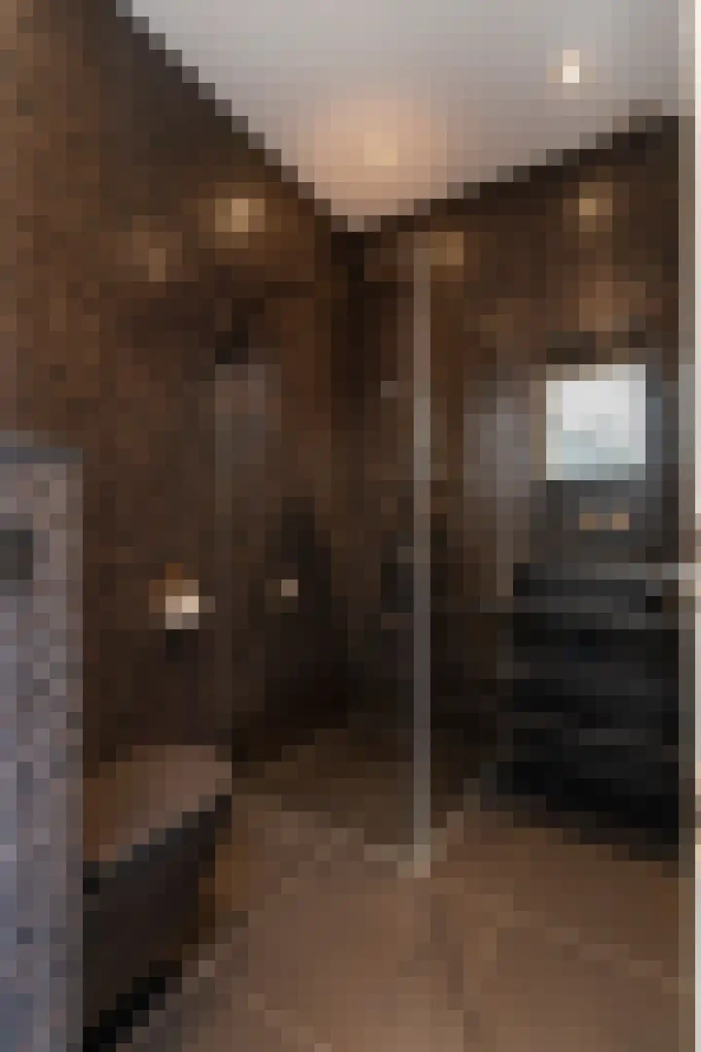 Da Costakade 46 2 Amsterdam thumbnail 30