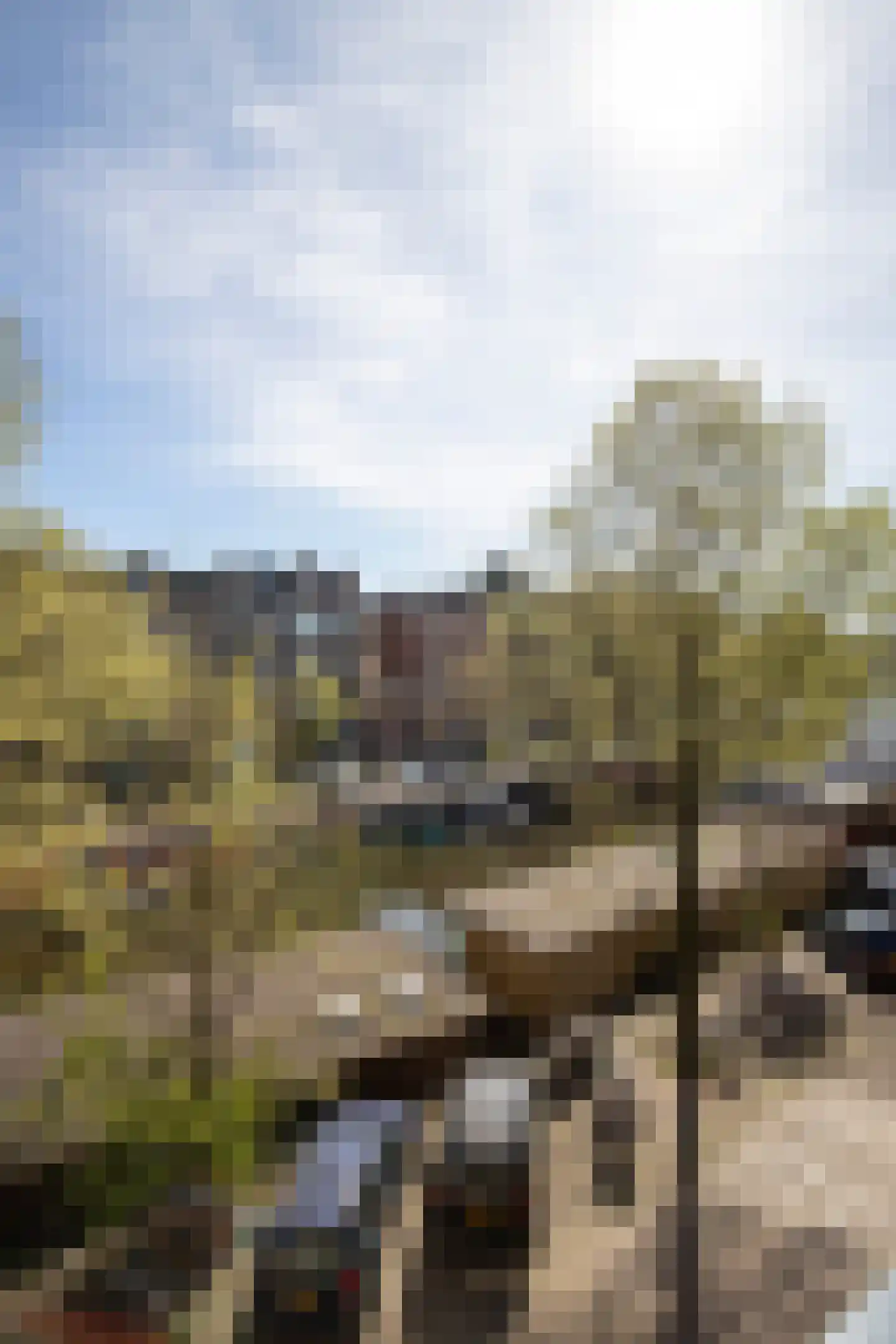 Da Costakade 46 2 Amsterdam thumbnail 38