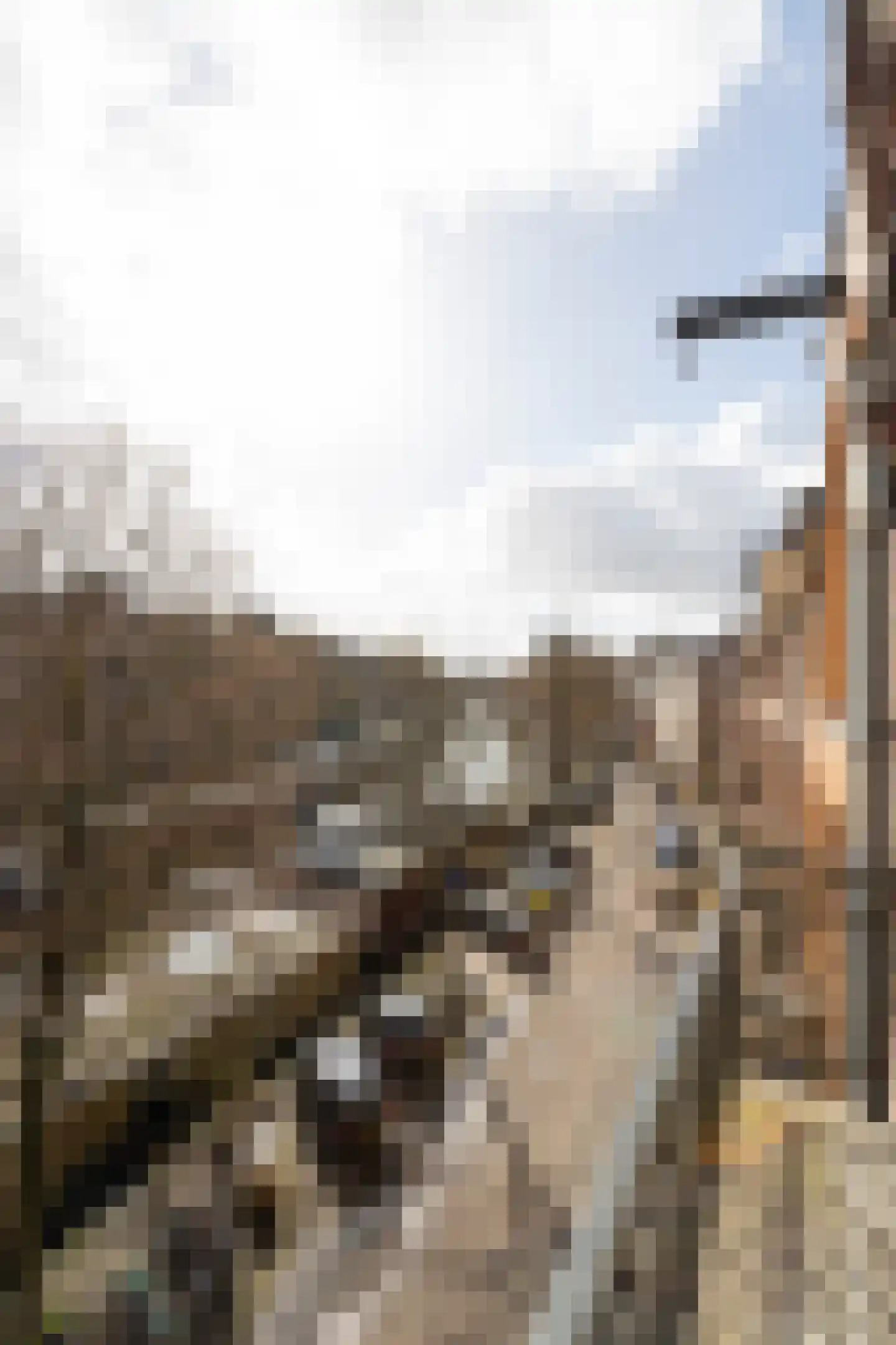 Da Costakade 48 1 Amsterdam thumbnail 34