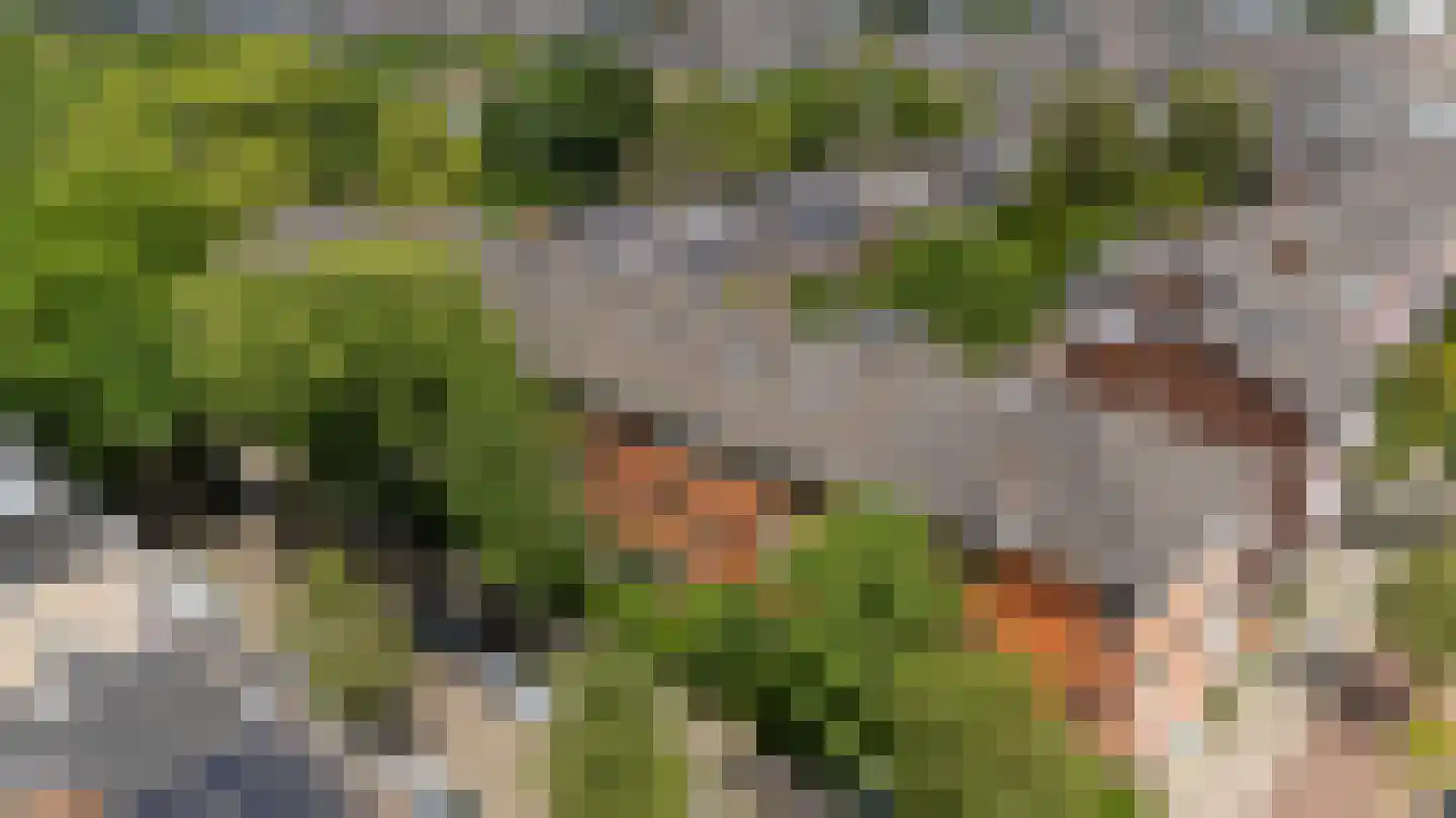 Da Costakade 5 BS Utrecht thumbnail 36
