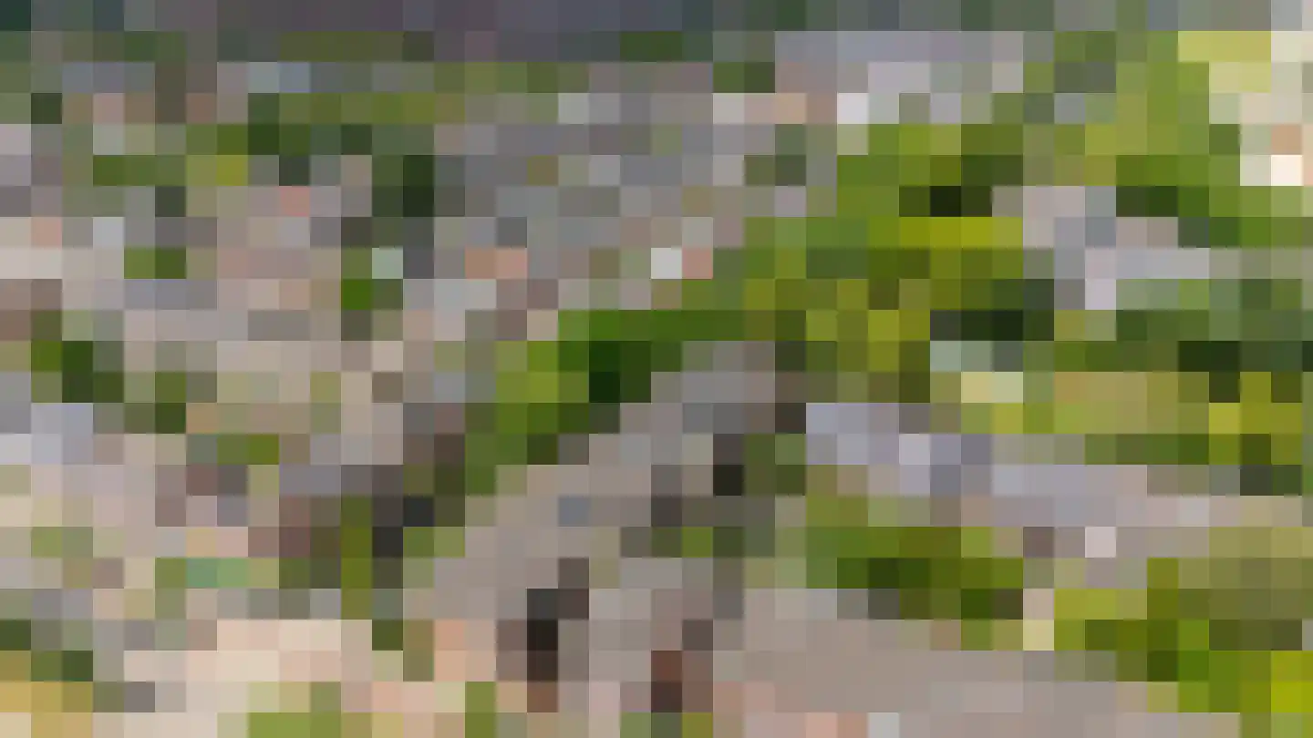 Da Costakade 5 BS Utrecht thumbnail 39