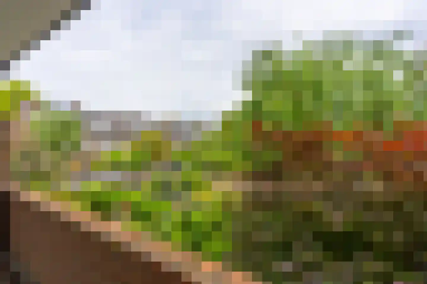 Da Costakade 5 BS Utrecht thumbnail 4