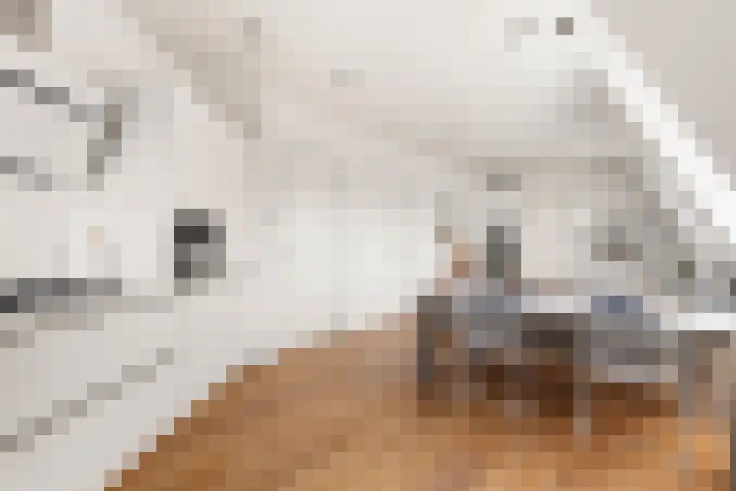 Da Costakade 51 4 Amsterdam thumbnail 14