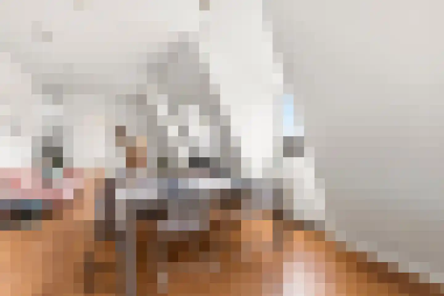Da Costakade 51 4 Amsterdam thumbnail 16