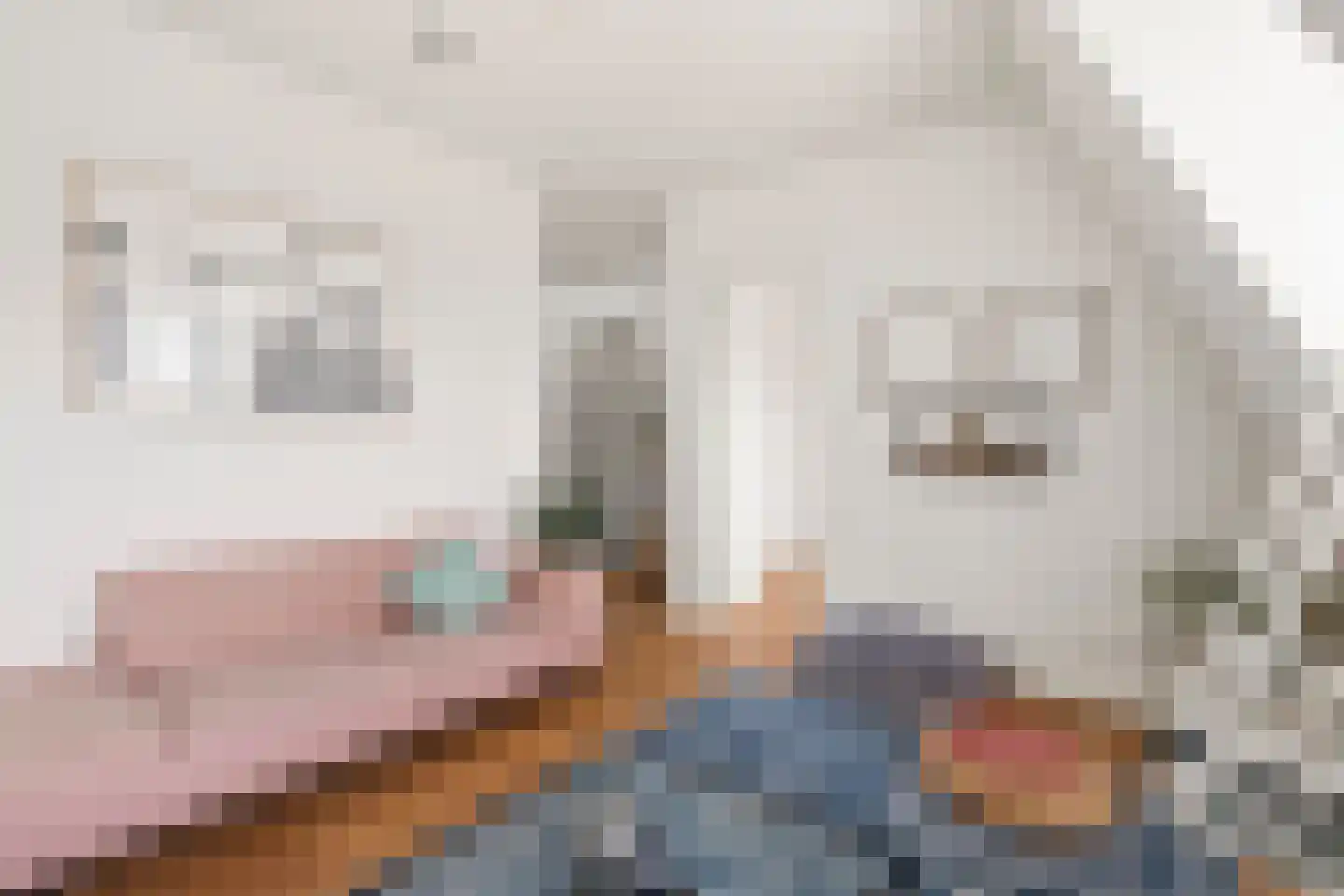 Da Costakade 51 4 Amsterdam thumbnail 7