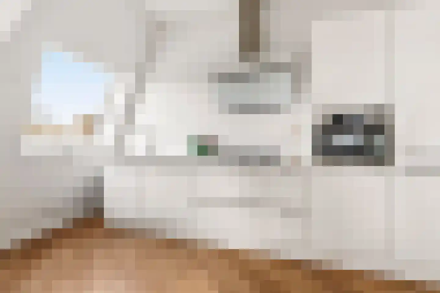 Da Costakade 51 4 Amsterdam thumbnail 9