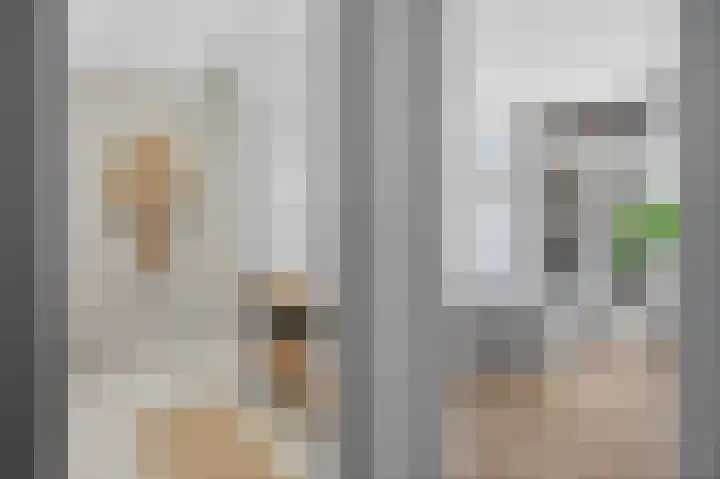 Da Costakade 53 1 Amsterdam thumbnail 17