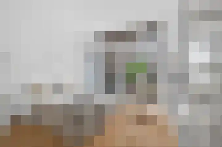 Da Costakade 53 1 Amsterdam thumbnail 20