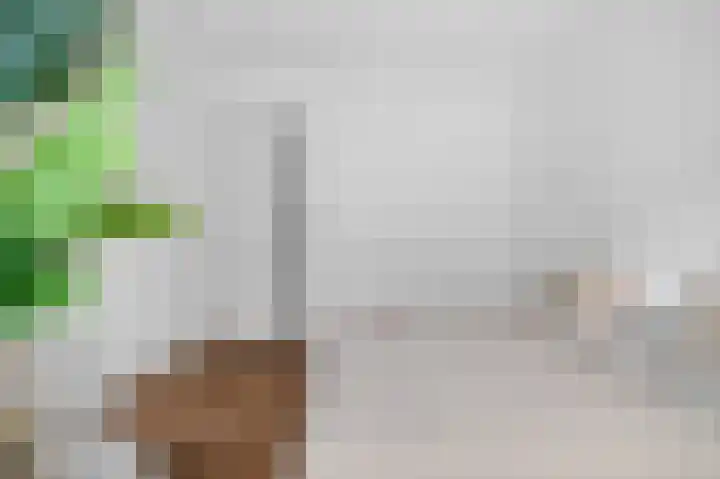 Da Costakade 53 1 Amsterdam thumbnail 22