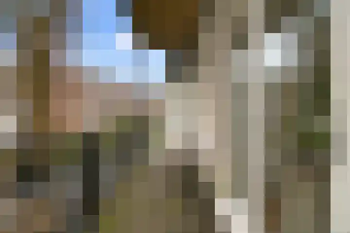Da Costakade 53 1 Amsterdam thumbnail 23