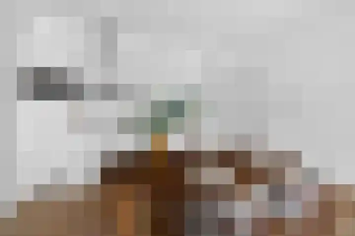 Da Costakade 53 1 Amsterdam thumbnail 9