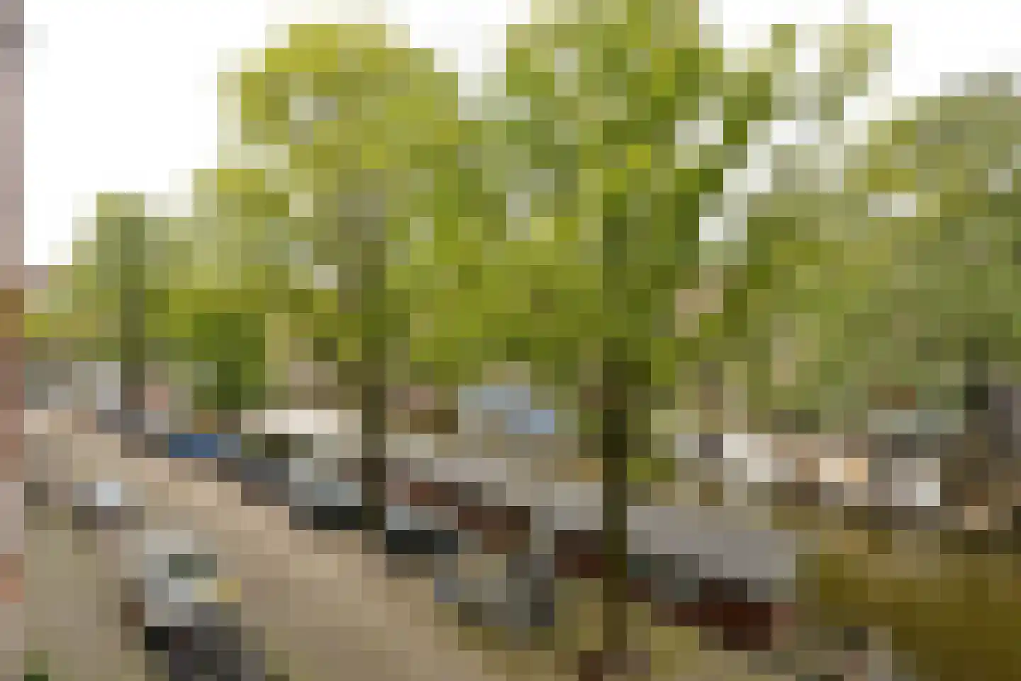 Da Costakade 61 H Amsterdam thumbnail 7