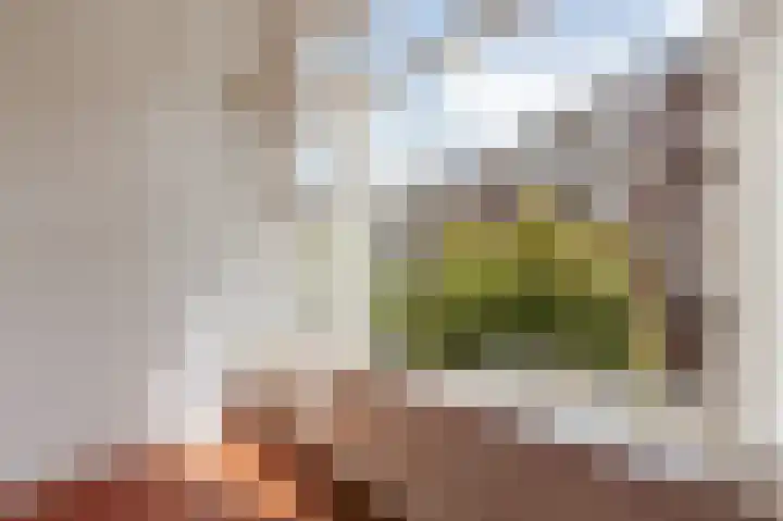 Da Costakade 69 H Amsterdam thumbnail 18