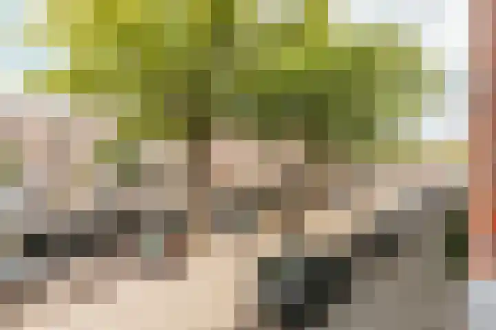 Da Costakade 69 H Amsterdam thumbnail 19