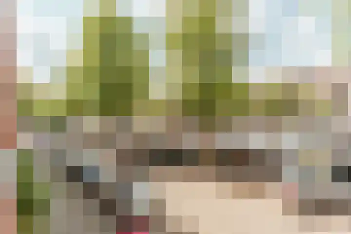 Da Costakade 69 H Amsterdam thumbnail 20