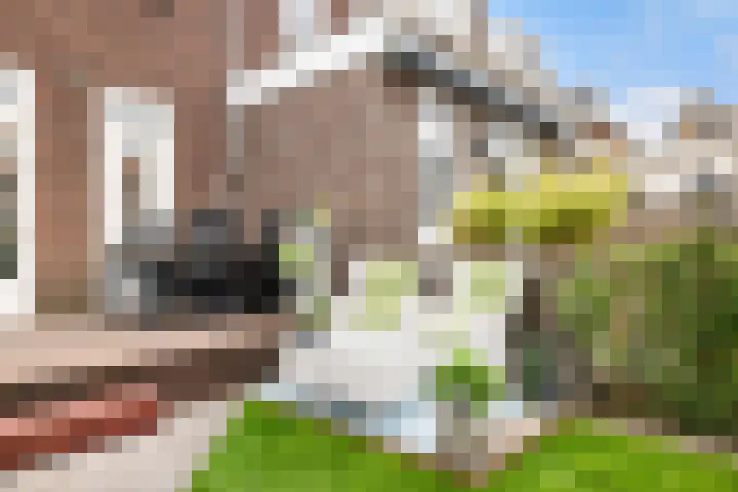 Da Costakade 80 Gouda thumbnail 34