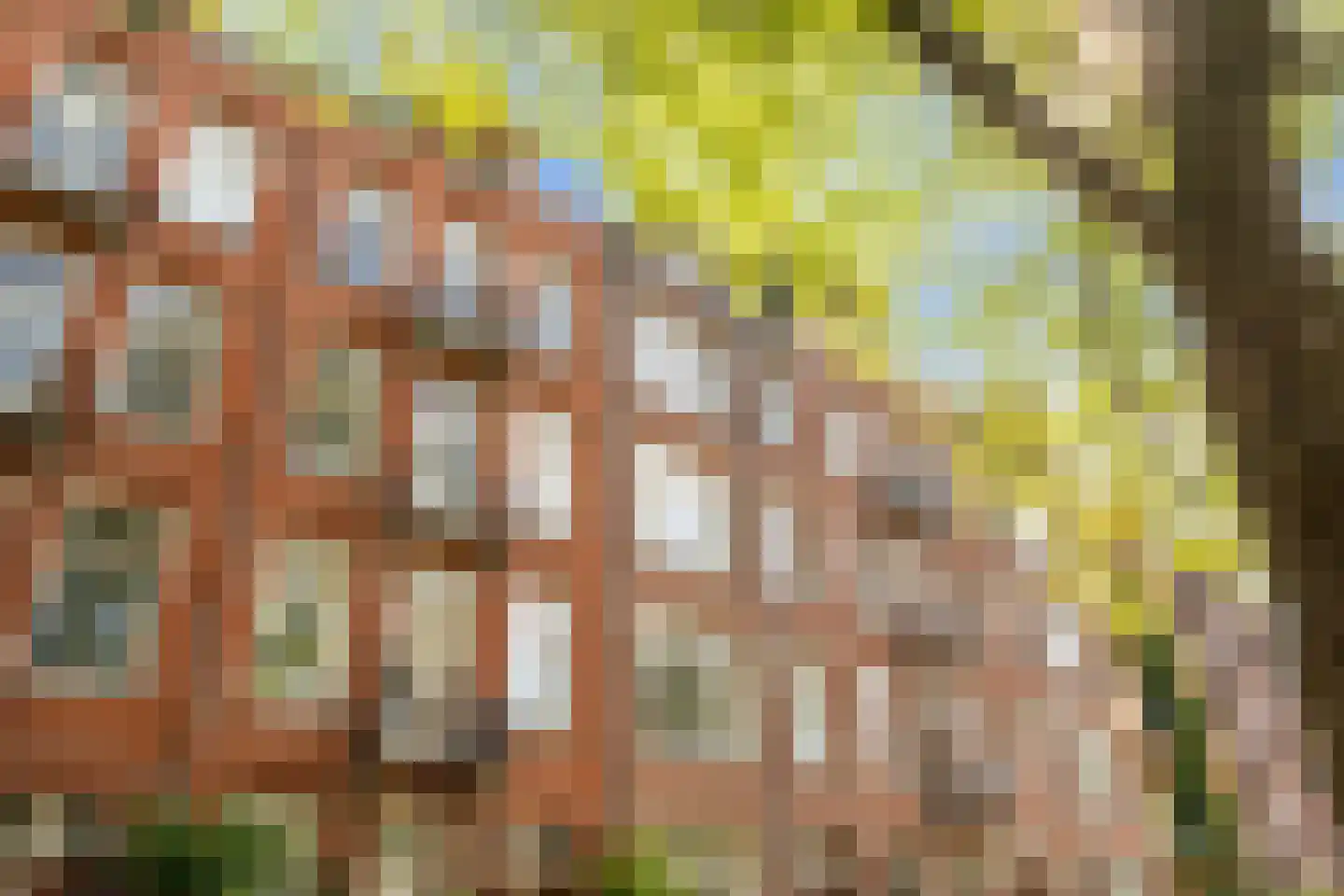 Da Costakade 87 2 Amsterdam thumbnail 28