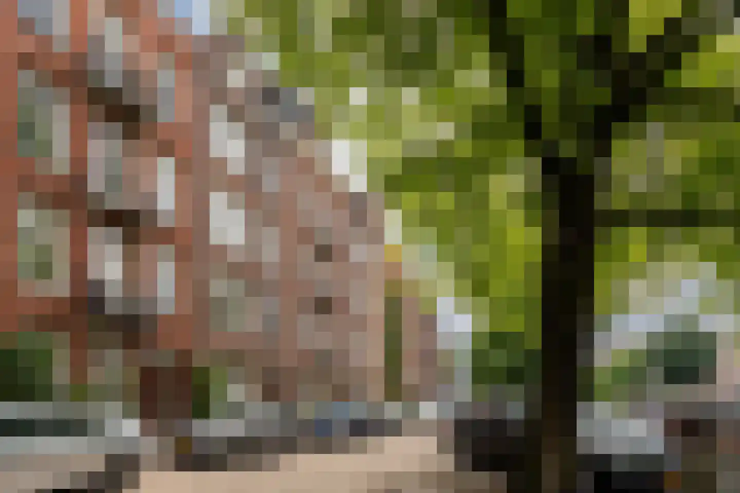 Da Costakade 87 A 1 Amsterdam thumbnail 36