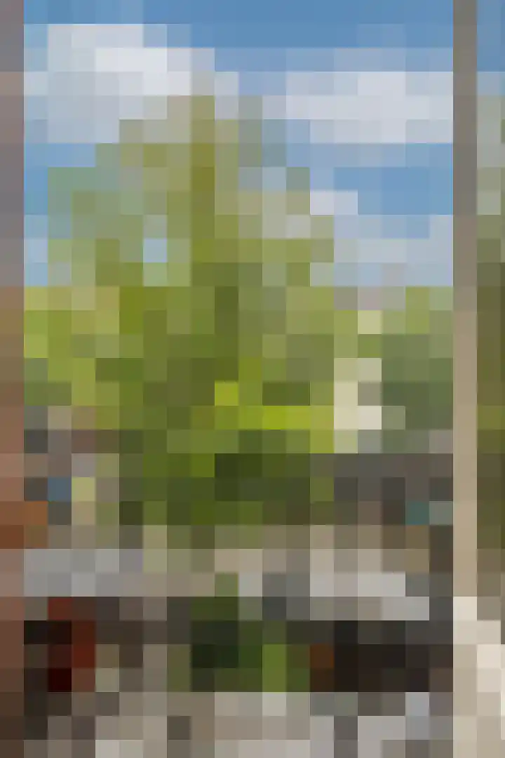 Da Costakade 87 A 3 Amsterdam thumbnail 20