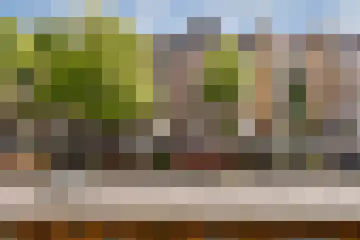 Da Costakade 87 A 3 Amsterdam thumbnail 21