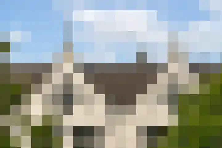 Da Costakade 87 A 3 Amsterdam thumbnail 23