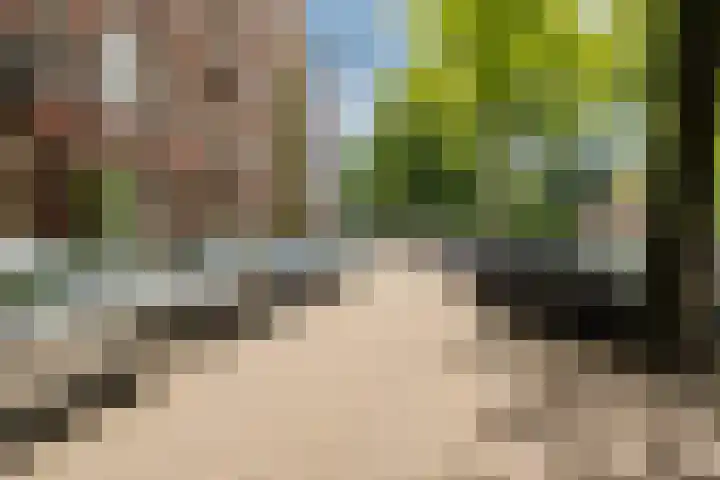 Da Costakade 87 A 3 Amsterdam thumbnail 32