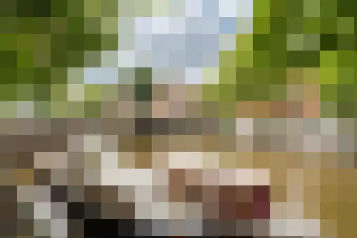 Da Costakade 87 A 3 Amsterdam thumbnail 33