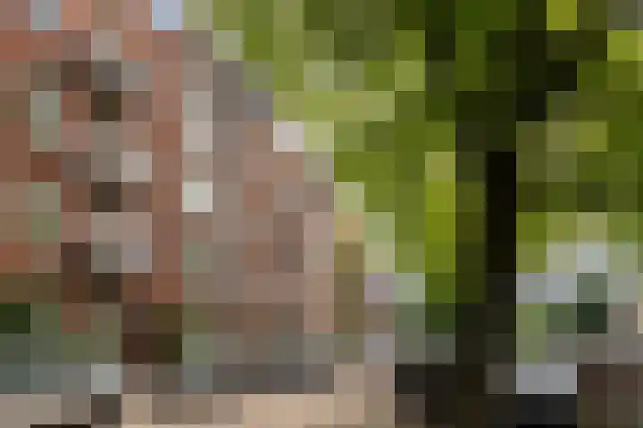 Da Costakade 87 A 3 Amsterdam thumbnail 36
