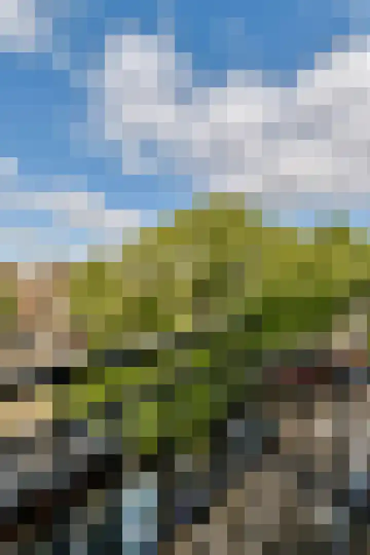 Da Costakade 87 A 3 Amsterdam thumbnail 8