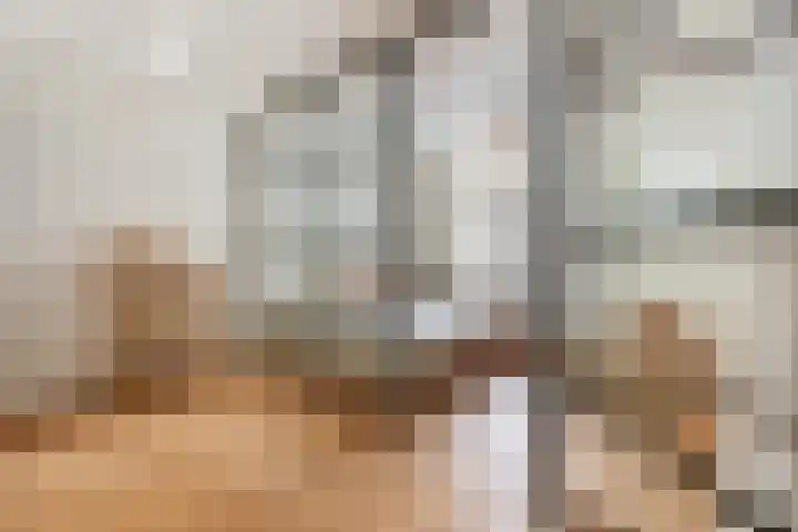 Da Costakade 99 2 Amsterdam thumbnail 12
