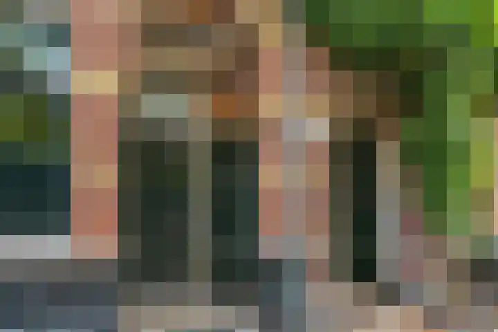 Da Costakade 99 2 Amsterdam thumbnail 24