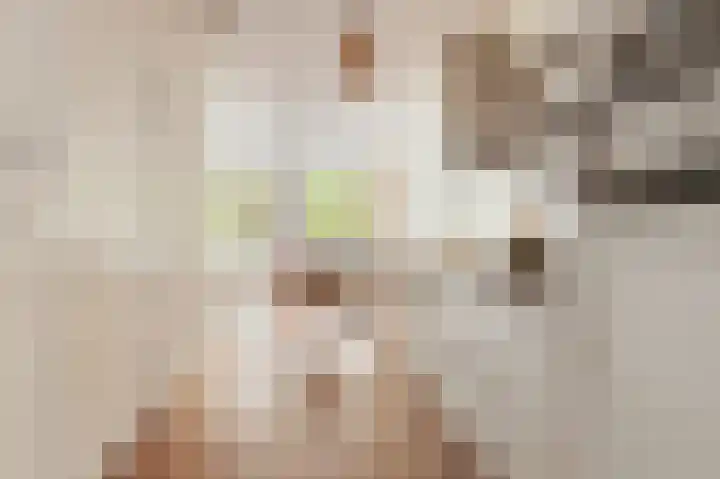 Da Costakade 99 2 Amsterdam thumbnail 5