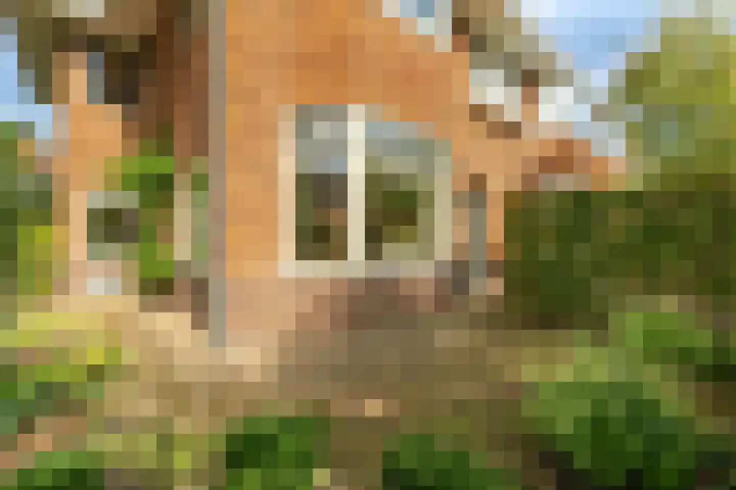 Da Costalaan 1 Zeist thumbnail 27