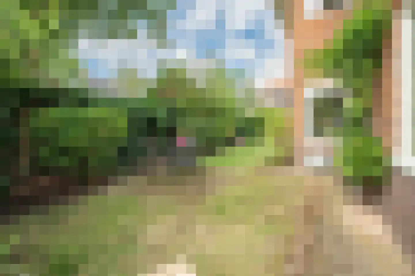 Da Costalaan 1 Zeist thumbnail 28