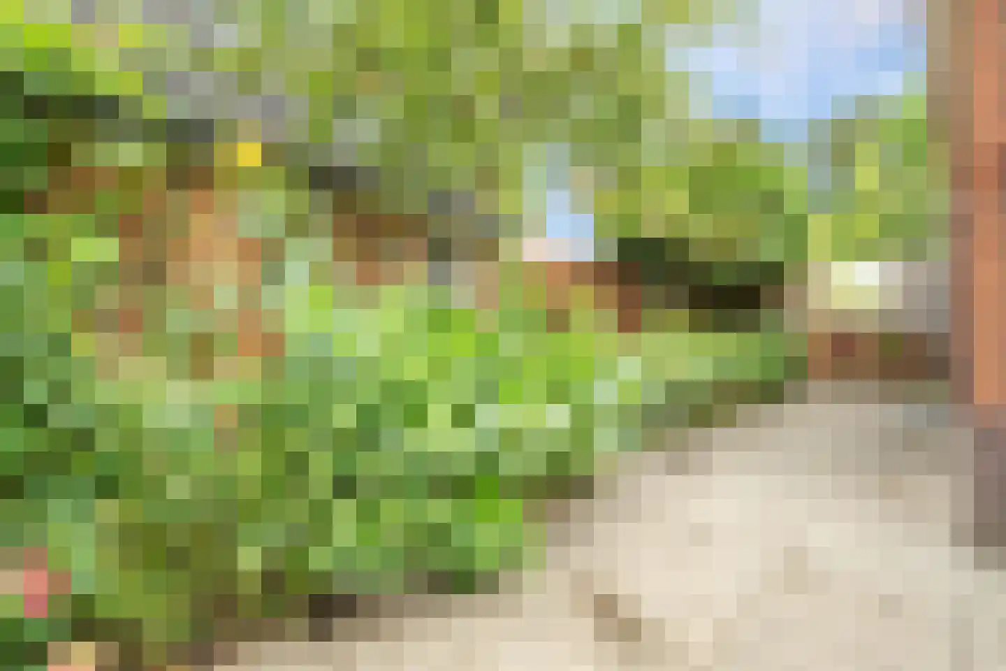 Da Costalaan 1 Zeist thumbnail 30
