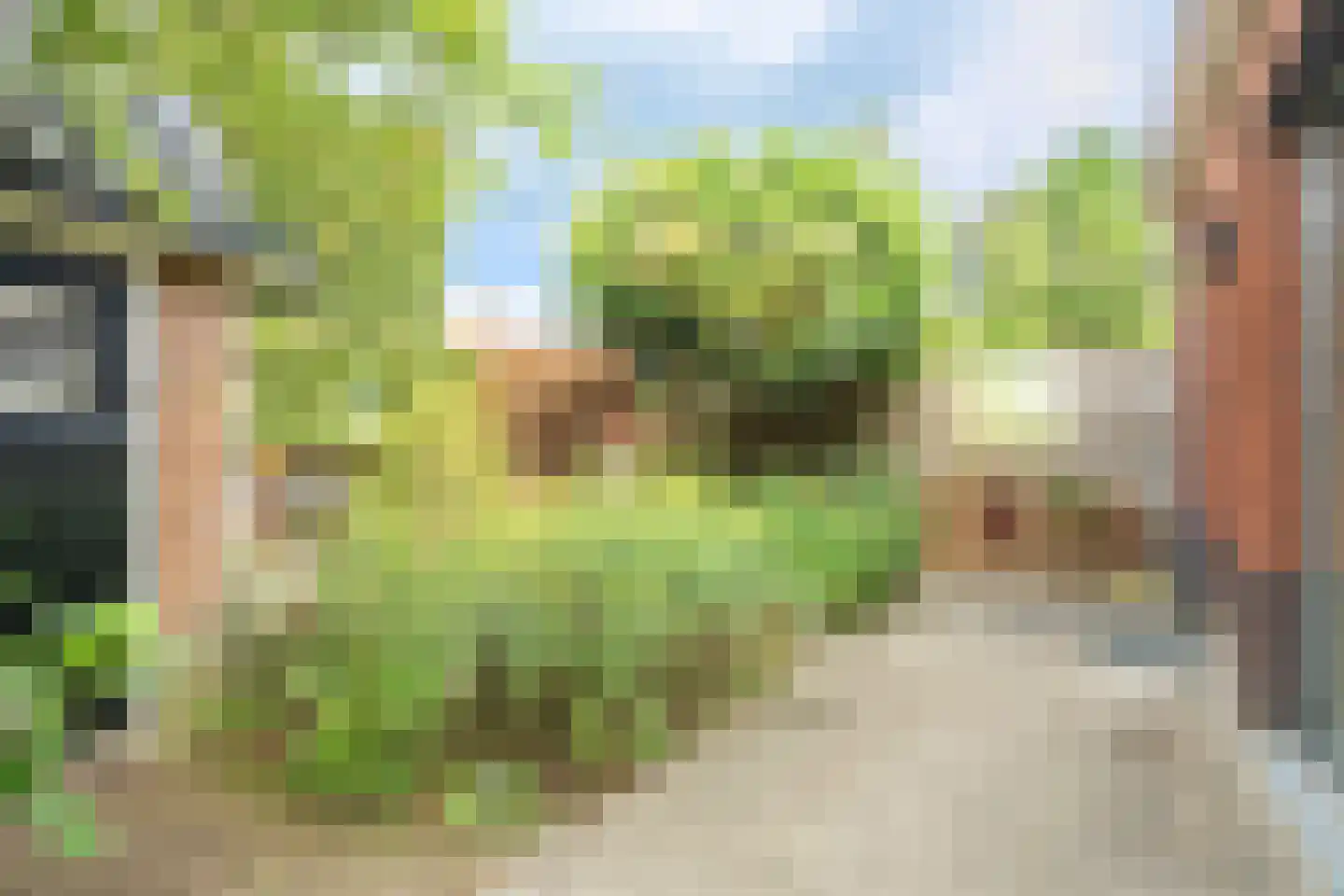 Da Costalaan 1 Zeist thumbnail 31