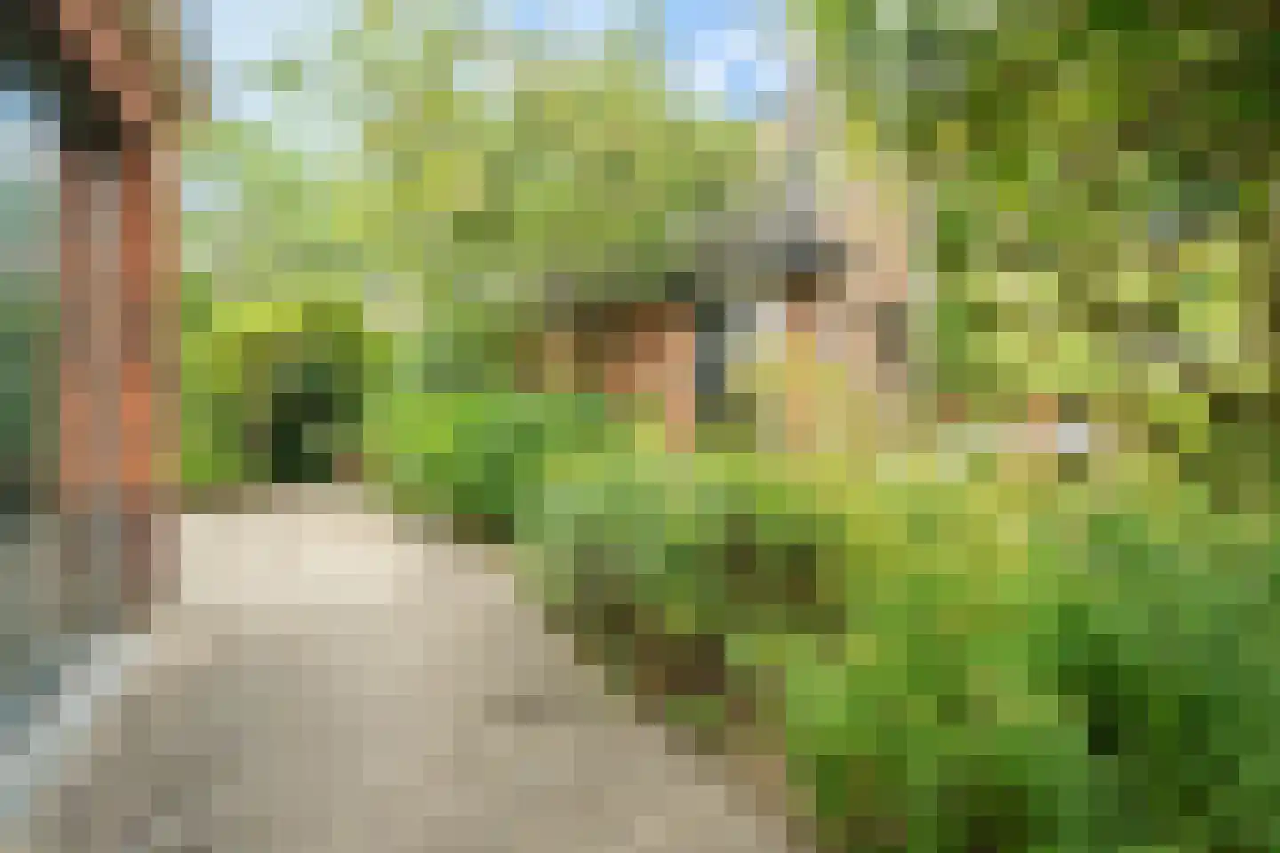 Da Costalaan 1 Zeist thumbnail 32