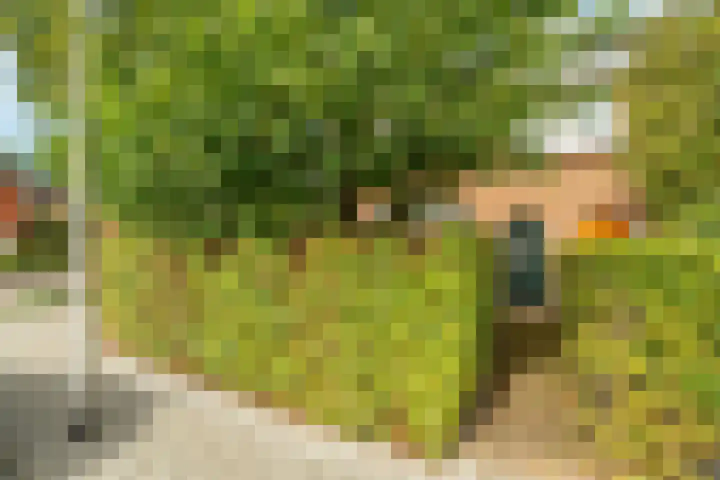 Da Costalaan 1 Zeist thumbnail 34