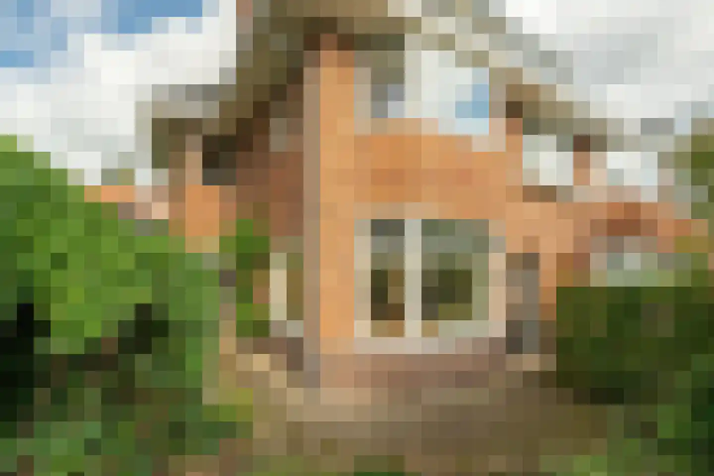 Da Costalaan 1 Zeist thumbnail 4