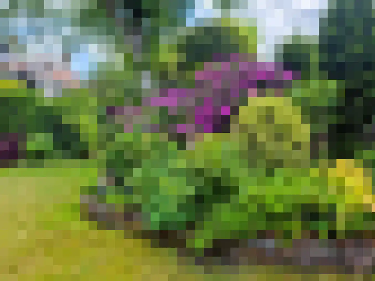 Da Costalaan 10 Driehuis NH thumbnail 22