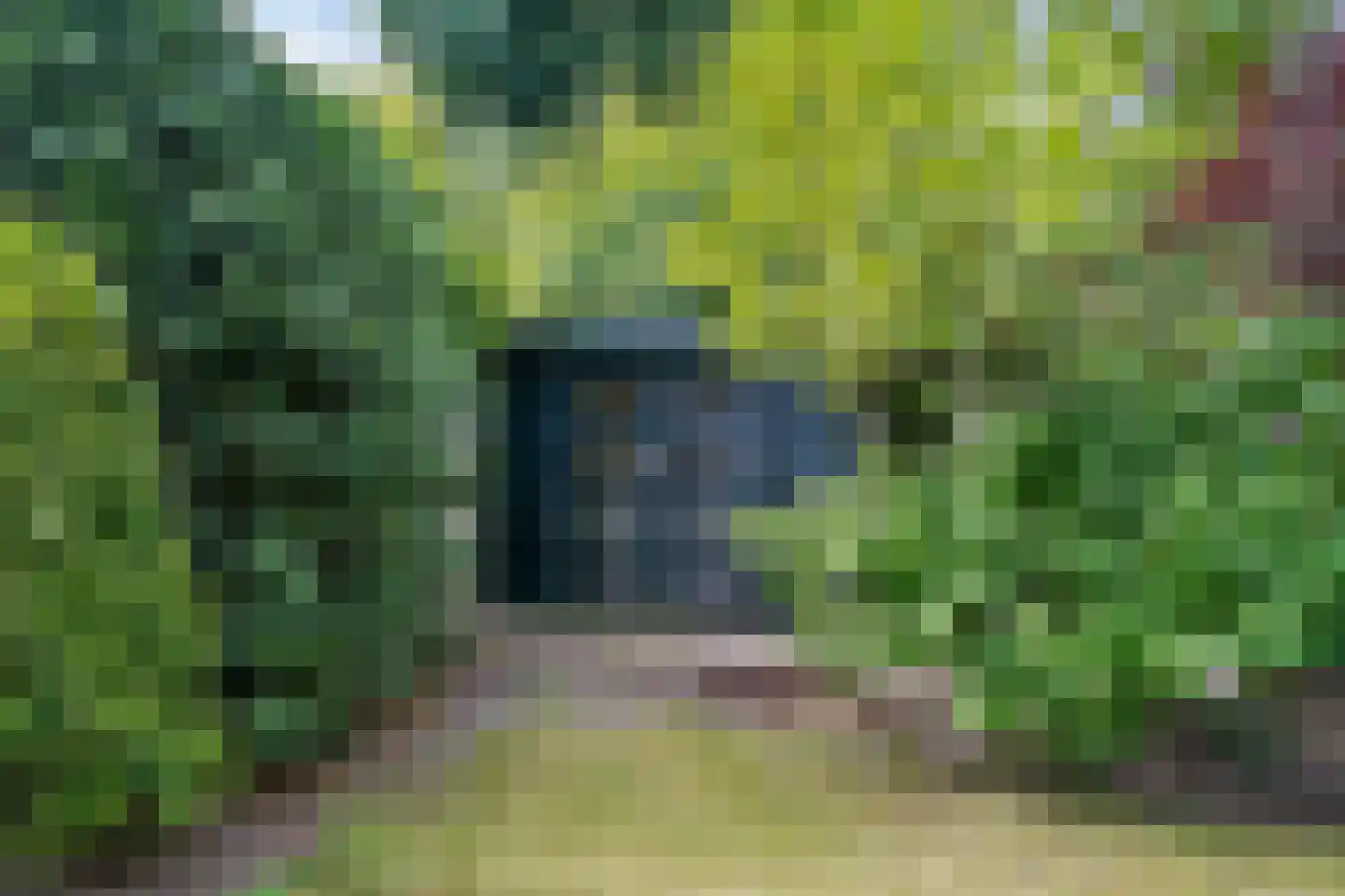 Da Costalaan 10 Driehuis NH thumbnail 23
