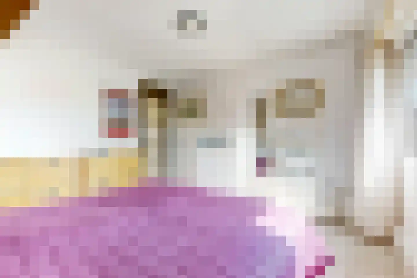 Da Costalaan 10 Driehuis NH thumbnail 27