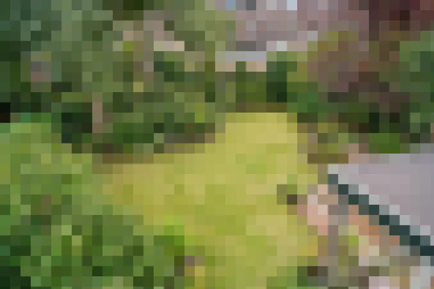 Da Costalaan 10 Driehuis NH thumbnail 30