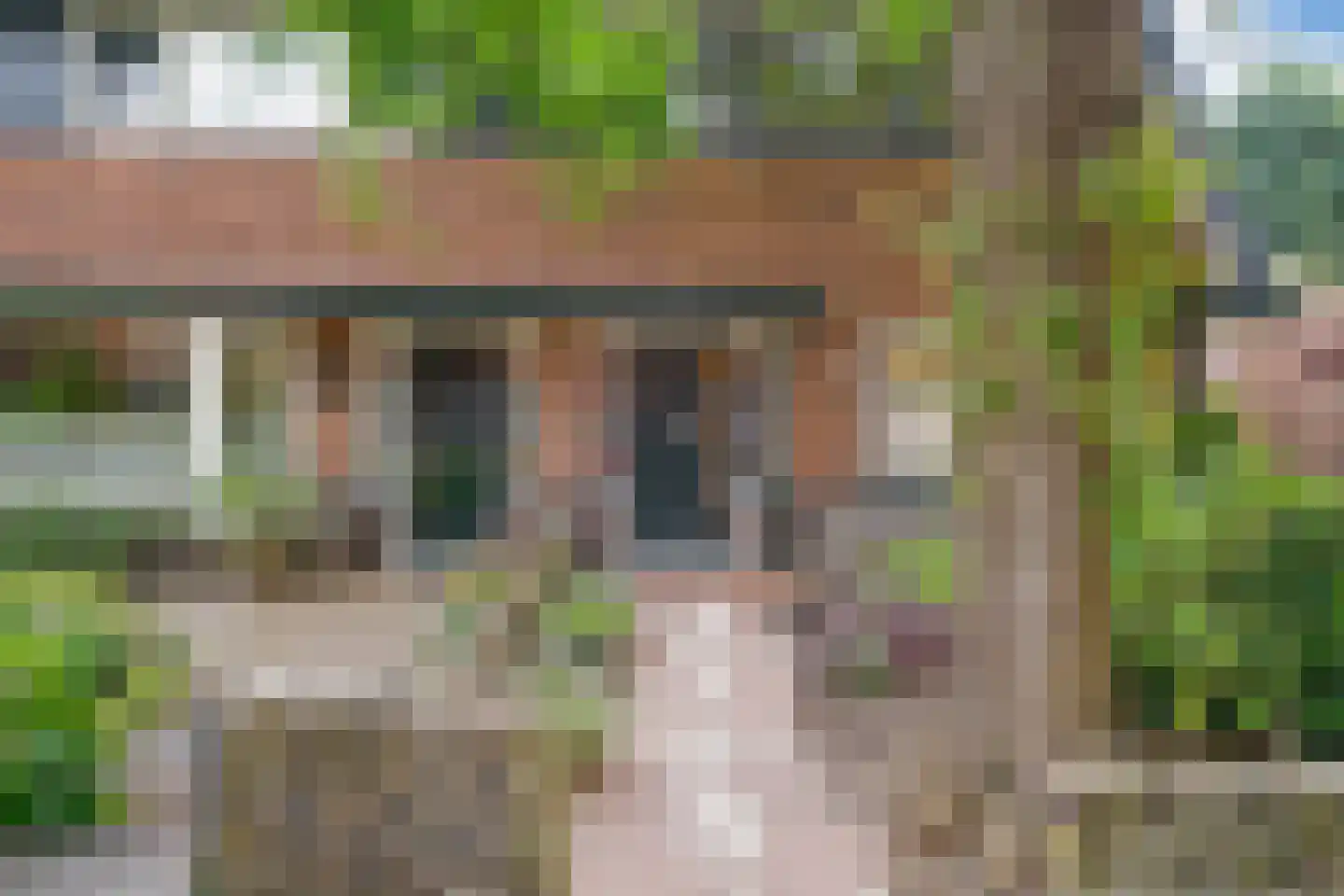 Da Costalaan 10 Driehuis NH thumbnail 7