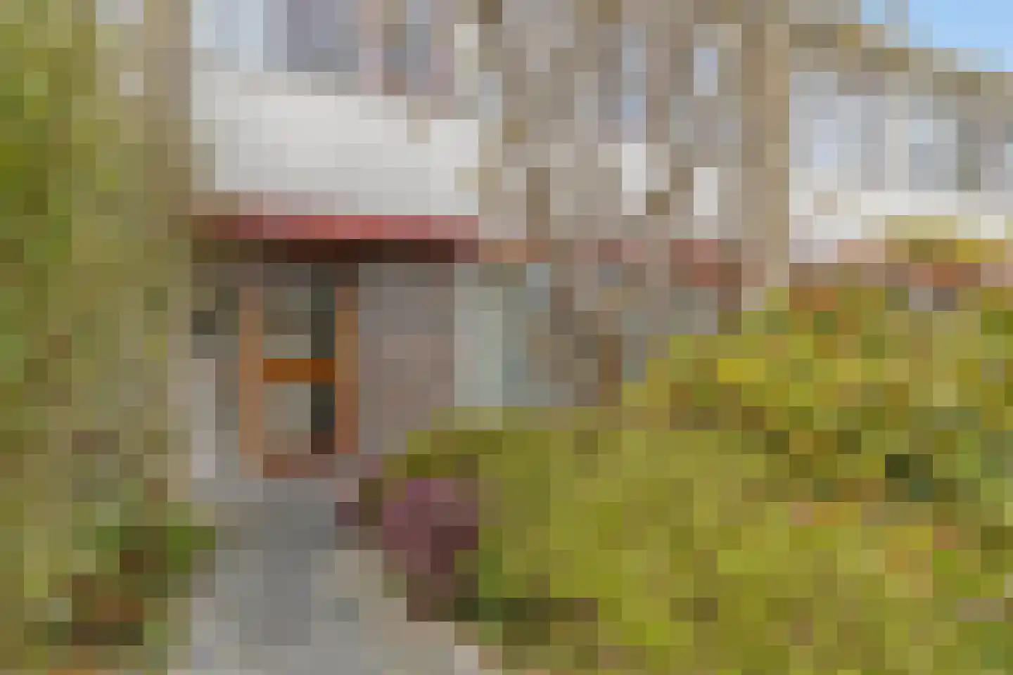 Da Costalaan 10 Haren Gn thumbnail 10