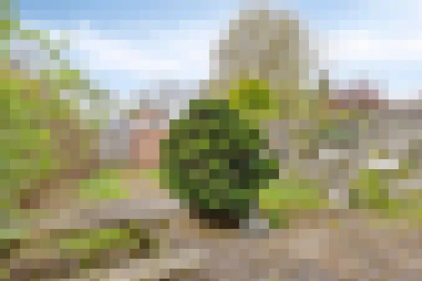Da Costalaan 10 Haren Gn thumbnail 22