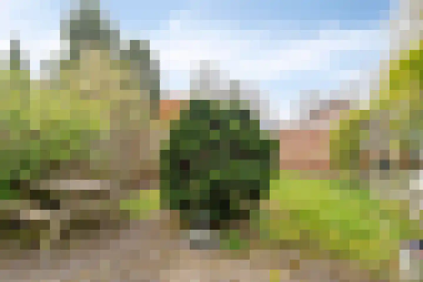 Da Costalaan 10 Haren Gn thumbnail 23