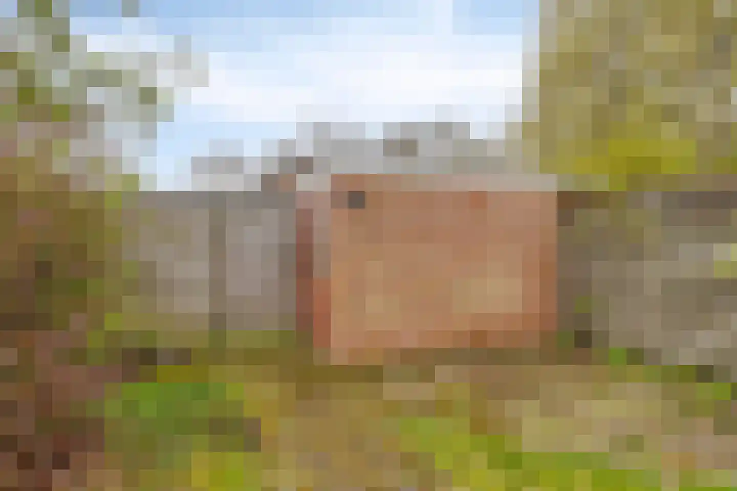 Da Costalaan 10 Haren Gn thumbnail 27