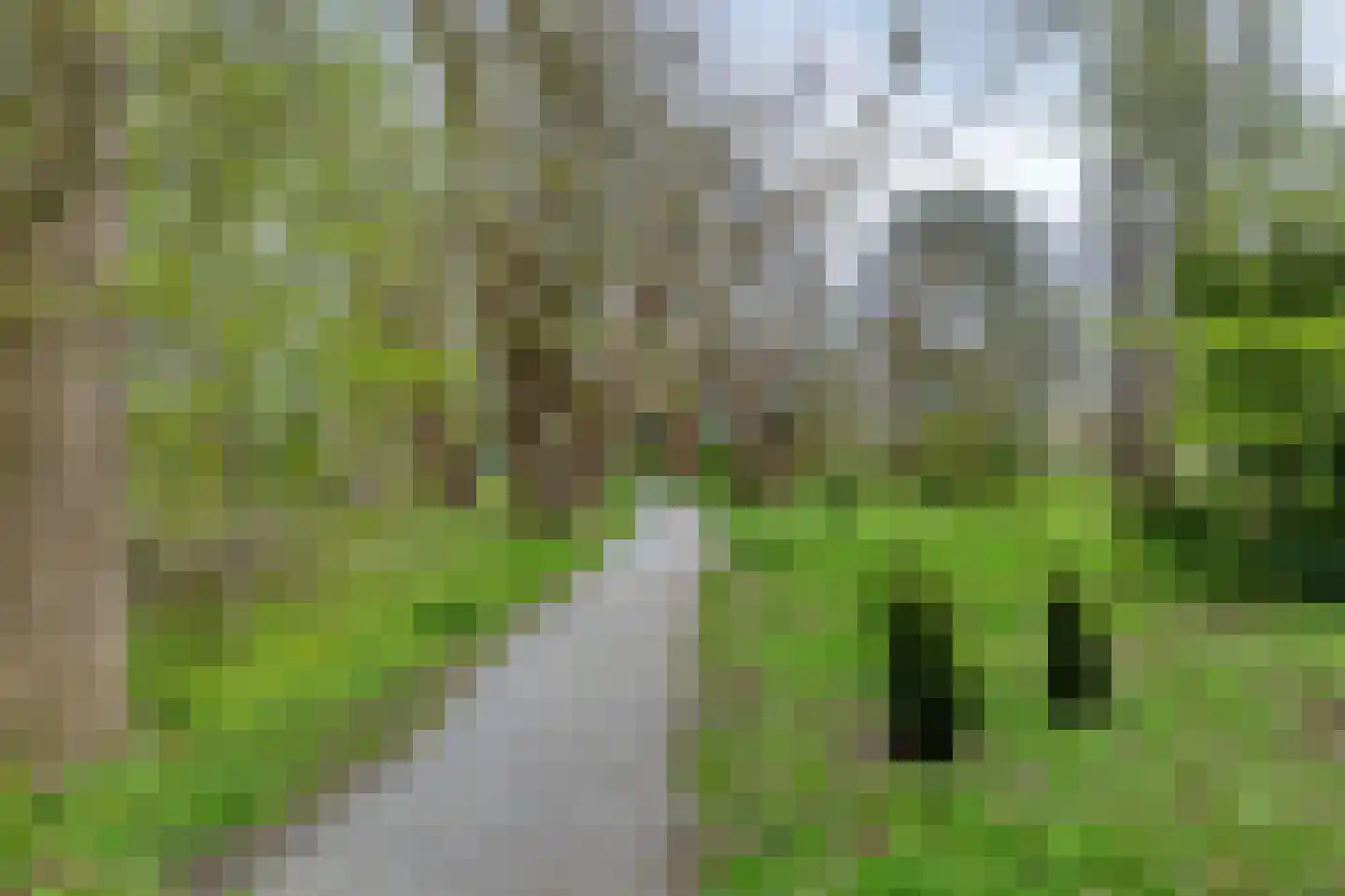 Da Costalaan 10 Haren Gn thumbnail 41