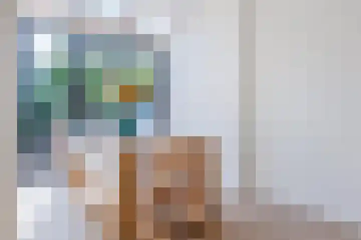 Da Costalaan 100 Rijswijk thumbnail 12